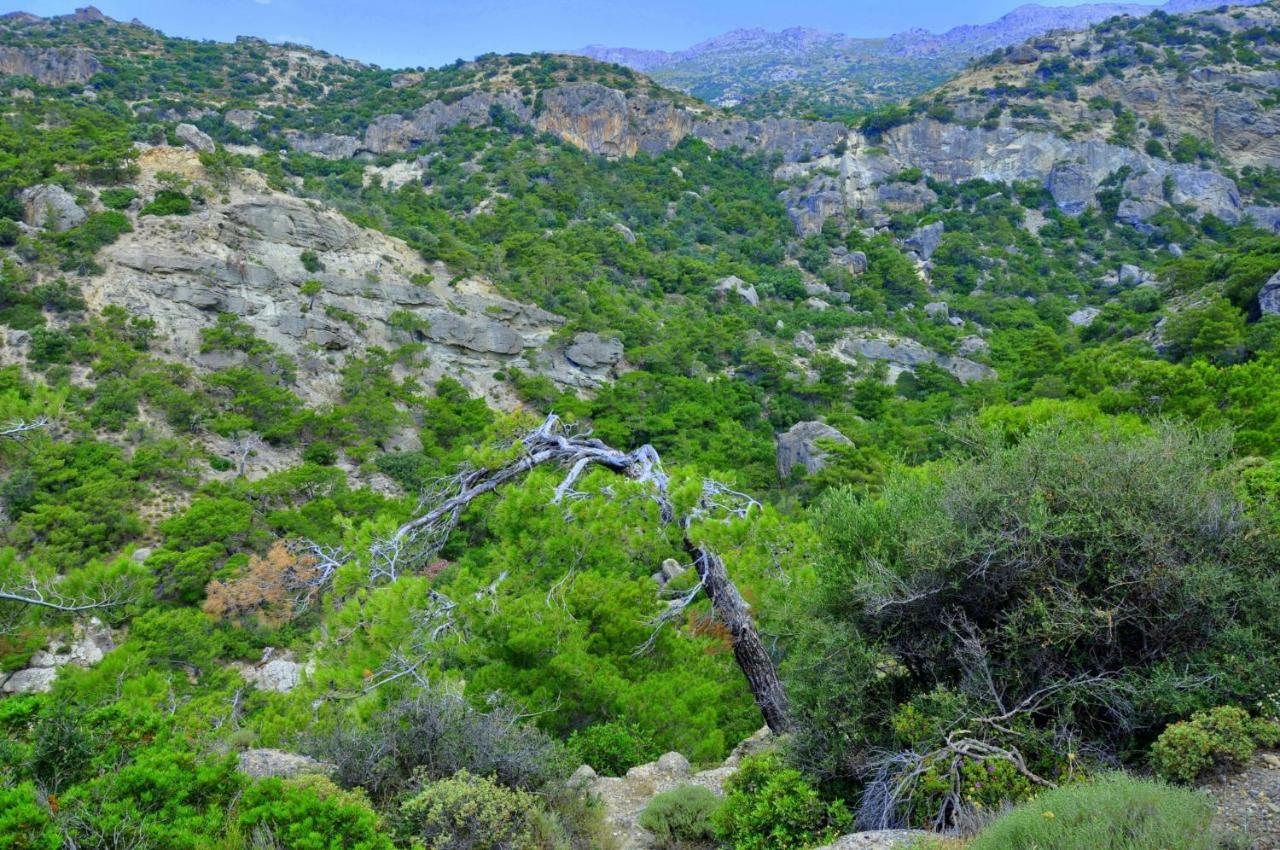 Dream Residence Άγιος Ιωάννης Εξωτερικό φωτογραφία